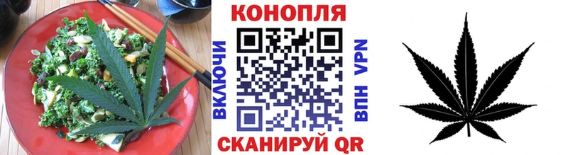 Купить закладки  Серов  Canna-Cookies конопля 