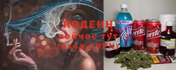 дживик Мегион