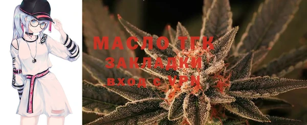 дживик Мегион