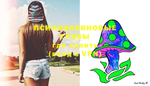 PSILOCYBIN Медвежьегорск